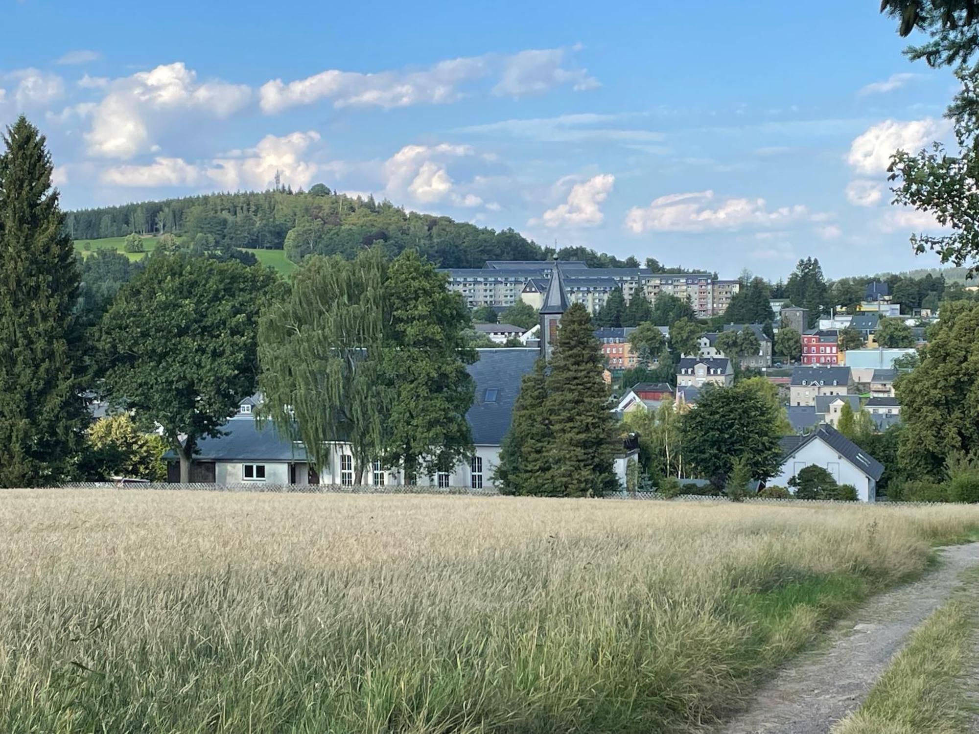 Ferienwohnung Greifenbach, Gartennutzung, Haustiere Willkommen Geyer Exterior foto