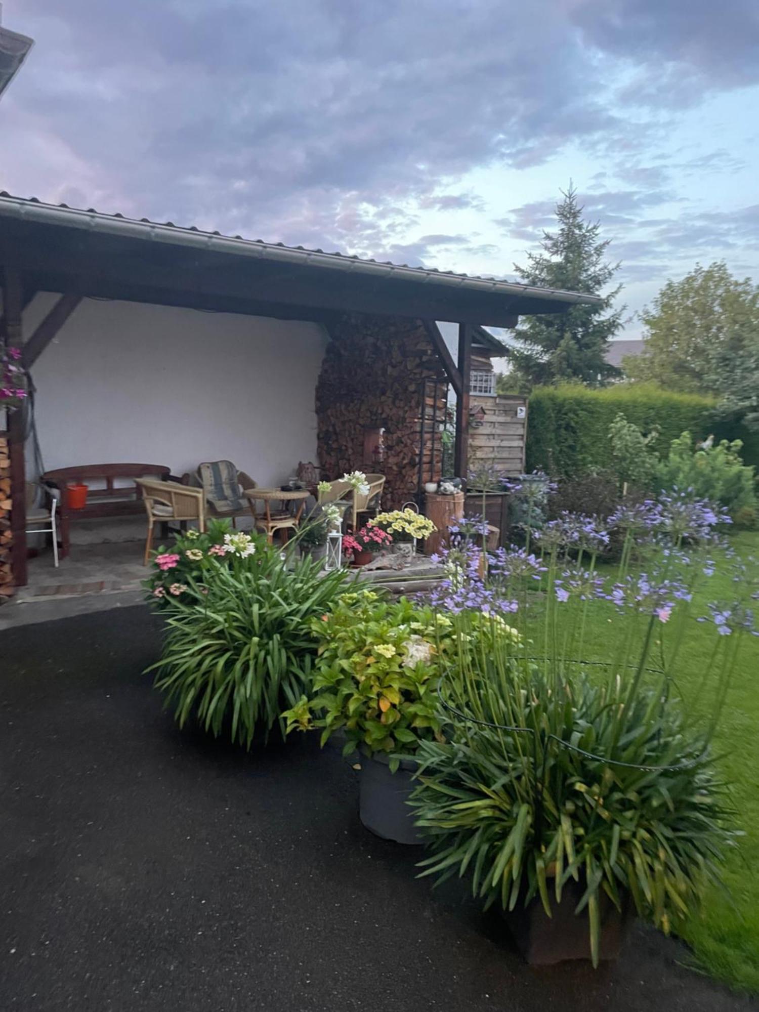 Ferienwohnung Greifenbach, Gartennutzung, Haustiere Willkommen Geyer Exterior foto