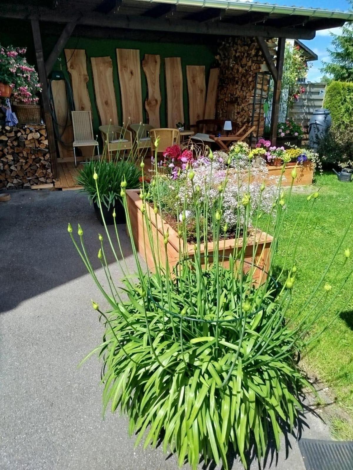 Ferienwohnung Greifenbach, Gartennutzung, Haustiere Willkommen Geyer Exterior foto